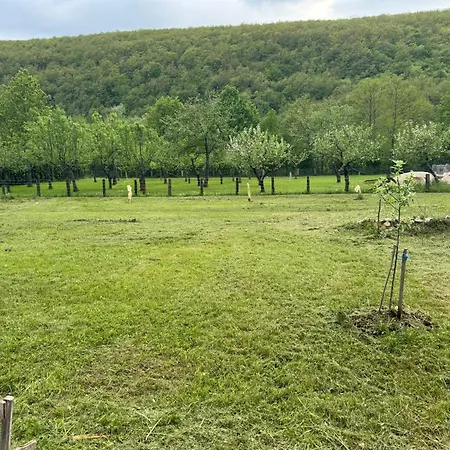 Kamp Seha